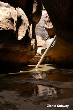 Zions Subway