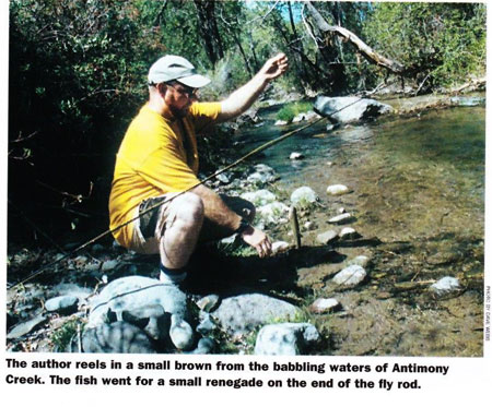 antimony creek fly fish