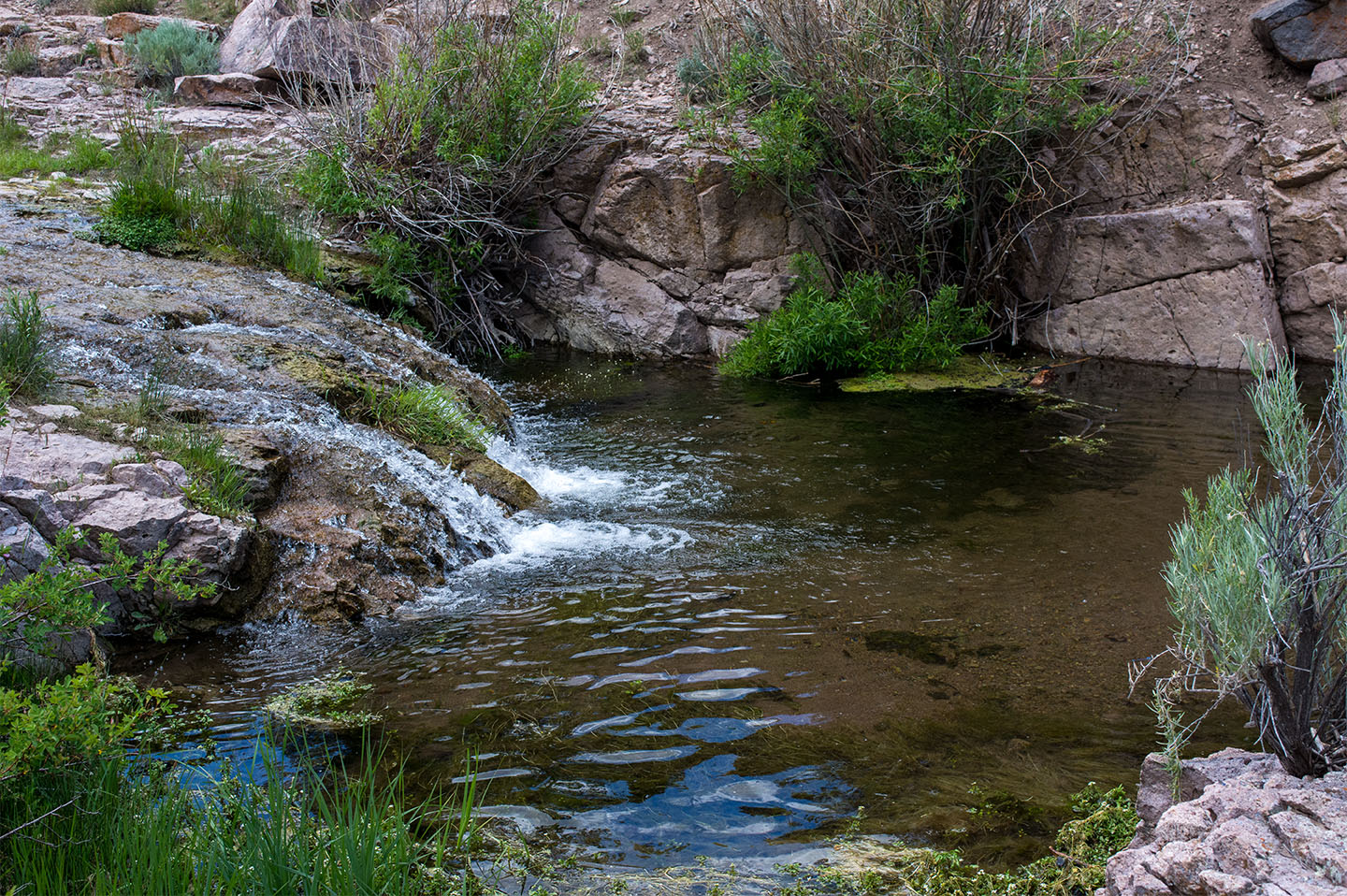 holt canyon stream
