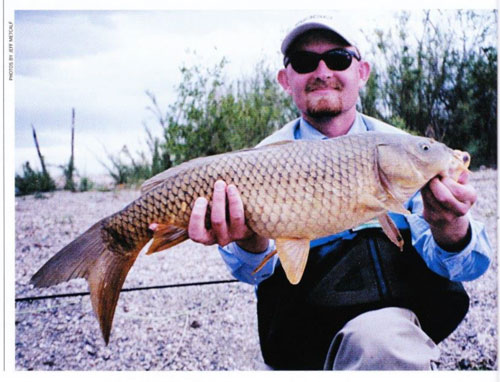 fly fish carp