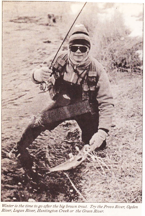 tullis winter flyfishing