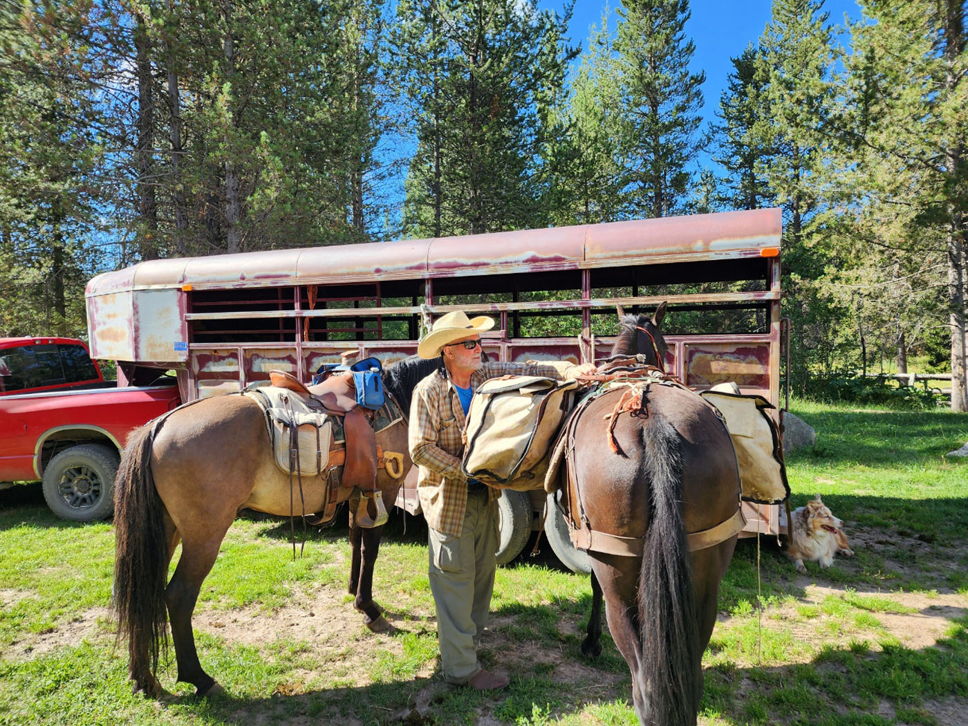 ryan-horses-trailhead.jpg
