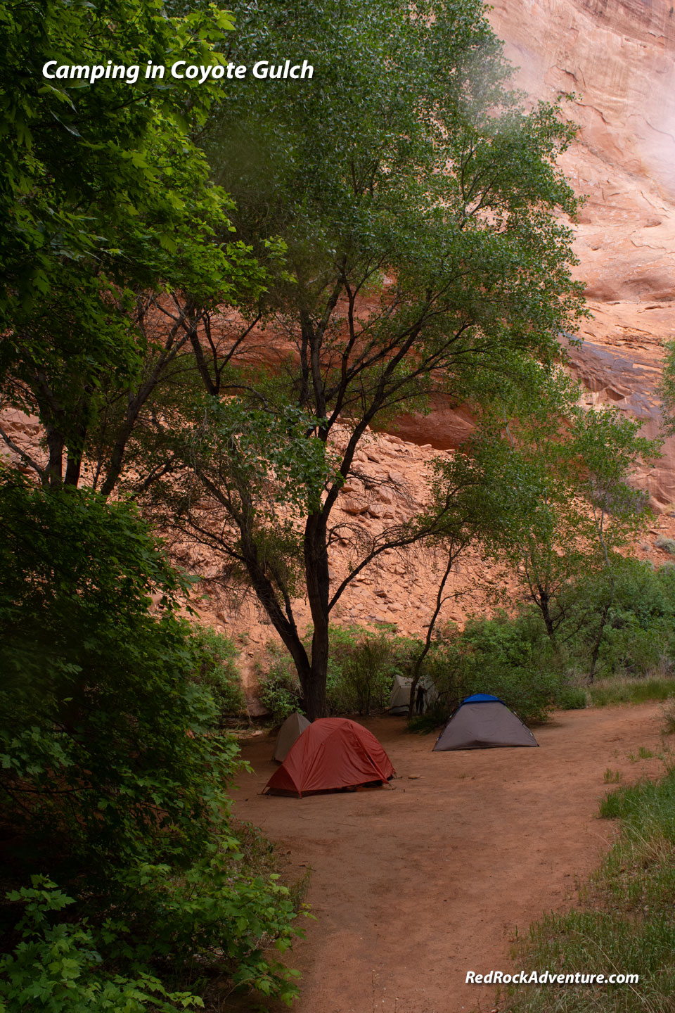 coyote-gulch-camping.jpg