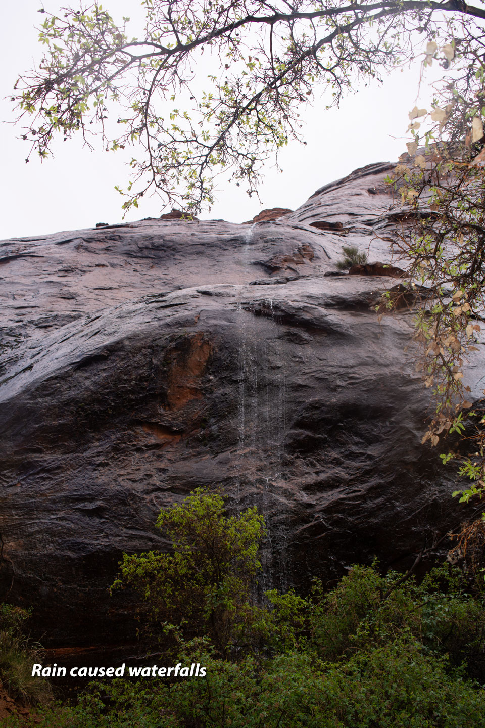 coyote-gulch-waterfall-rain.jpg