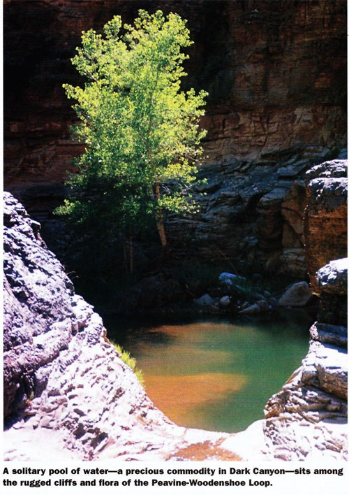 dark canyon backpack 3