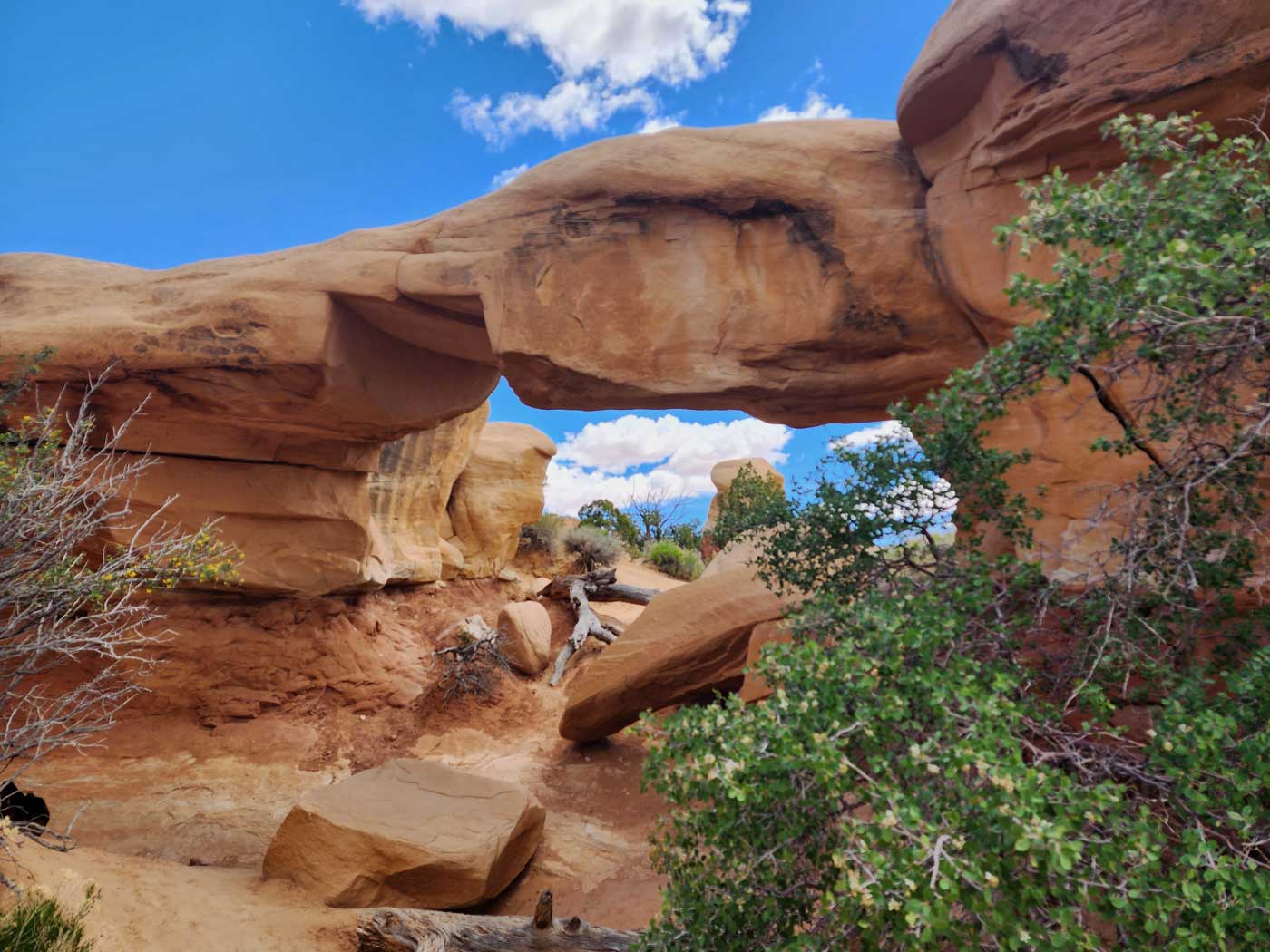 devils garden arch 2 escalante