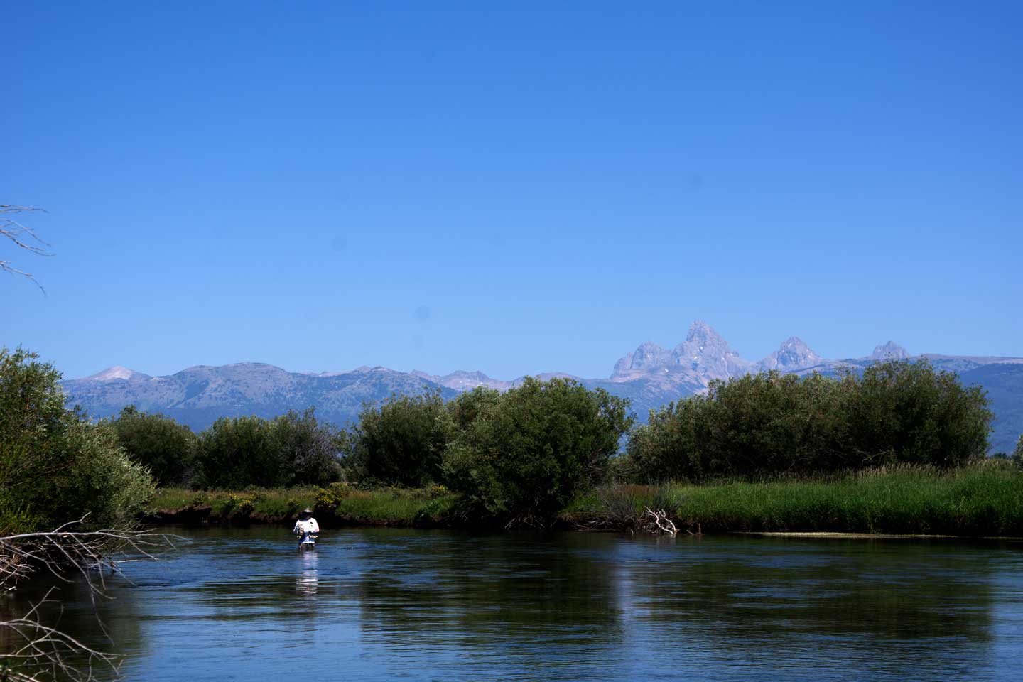 teton river mountain view
