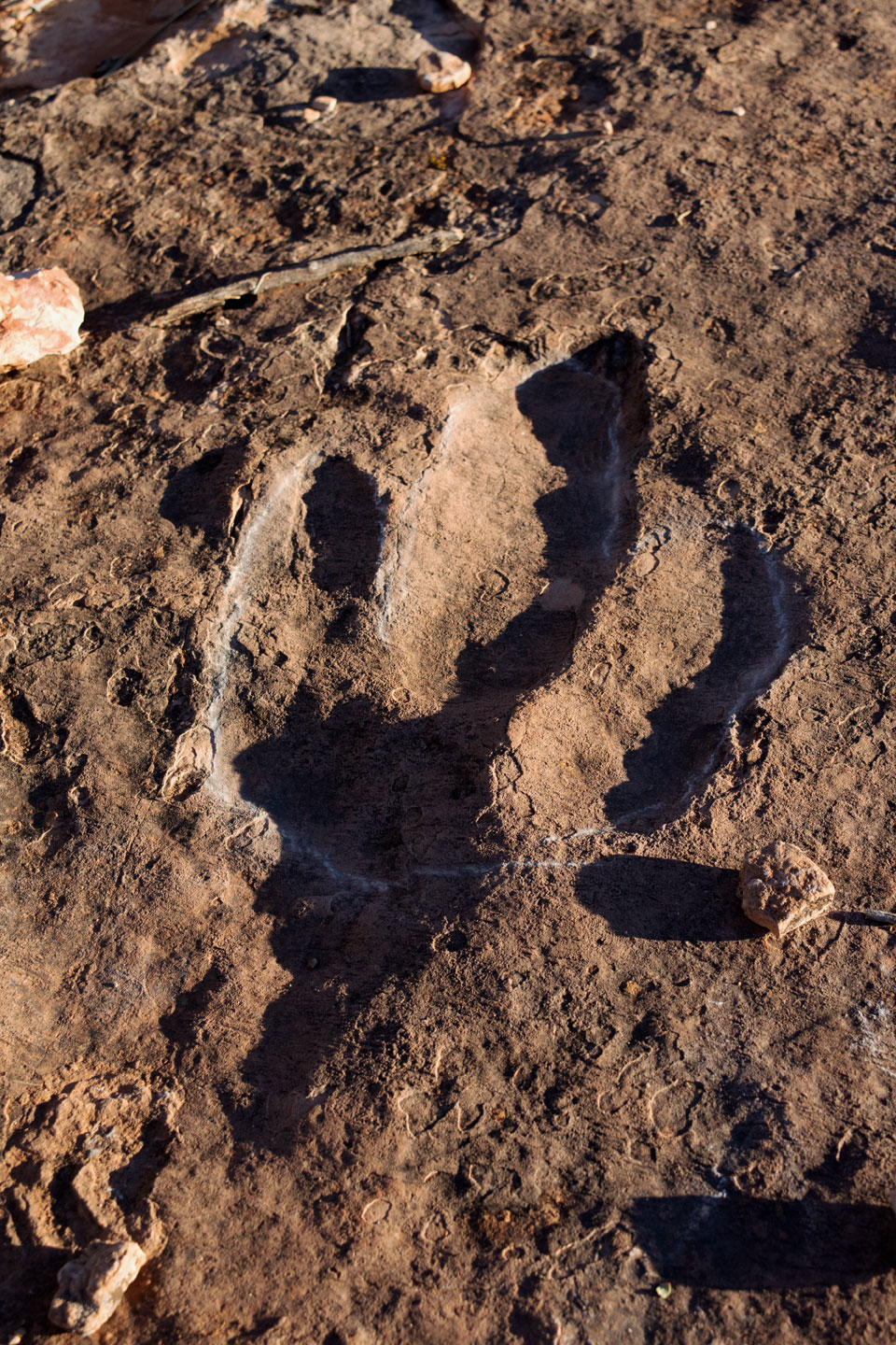 kanab dinosaur tracks 2
