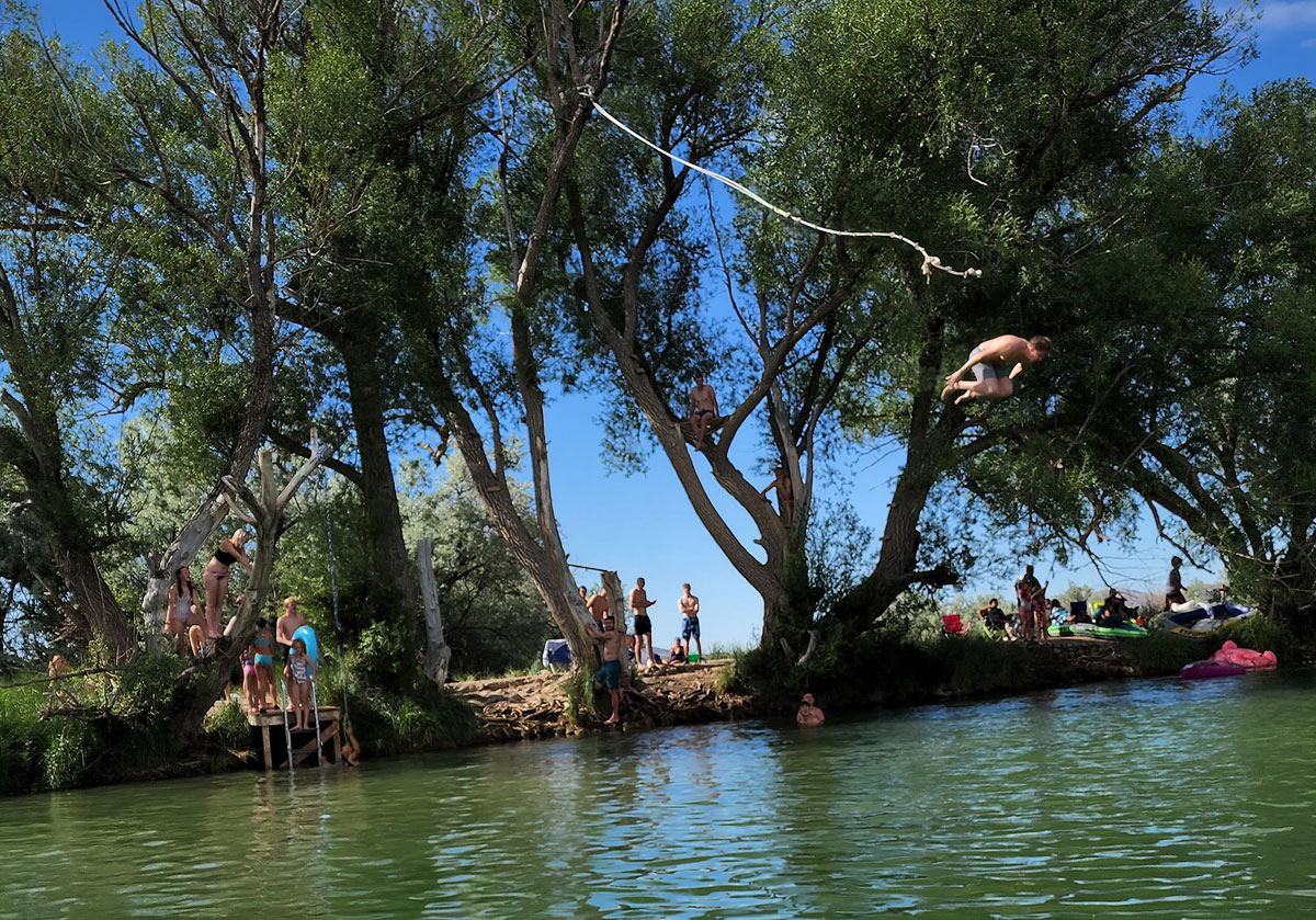 burraston ponds swing