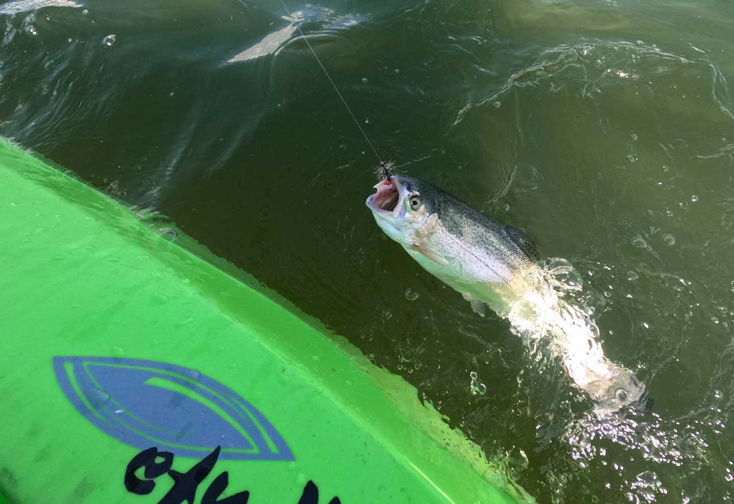 minersville rainbow wooly worm kayak