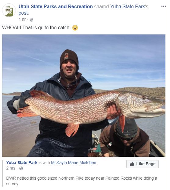 yuba pike