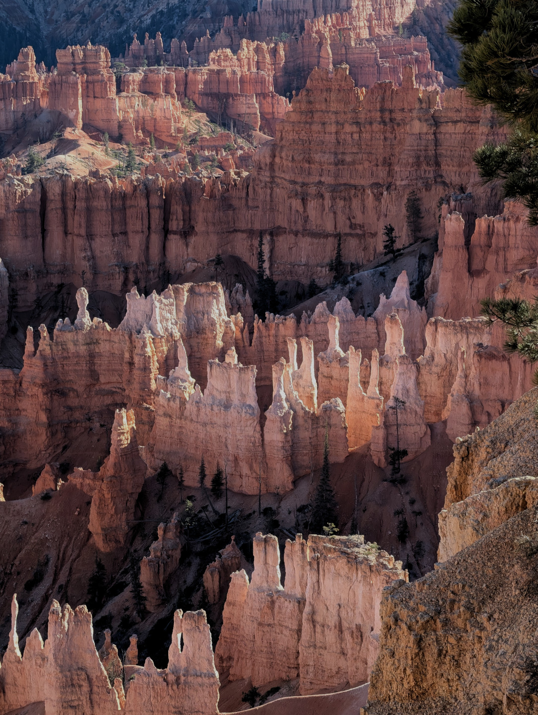 bryce-ghosts.jpg