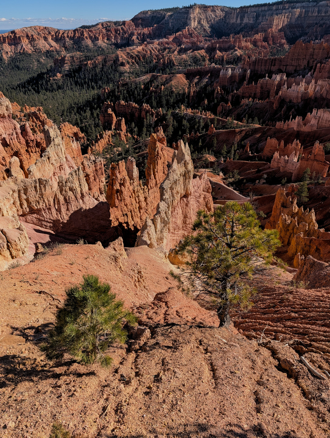 bryce-landscape2.jpg