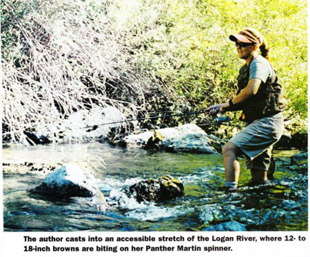 logan river spinners