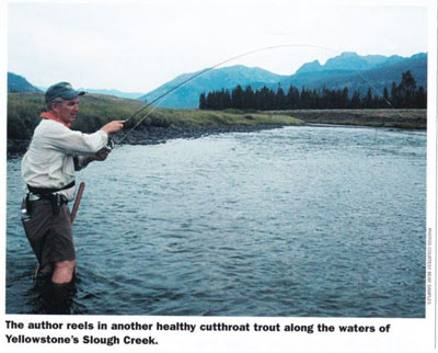 samples yellowstone 1