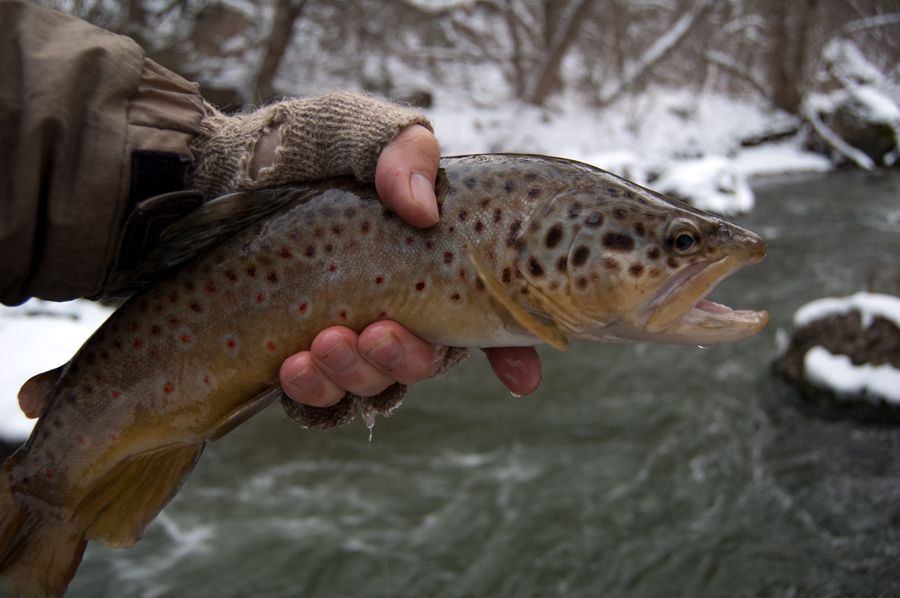 sixth water spring fishing