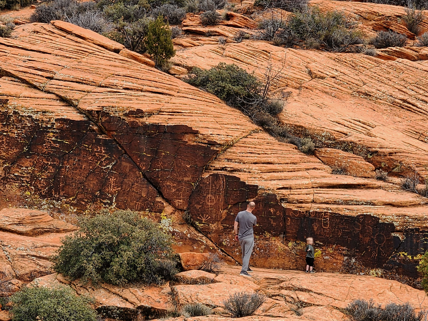snow canyon rock art panel lg