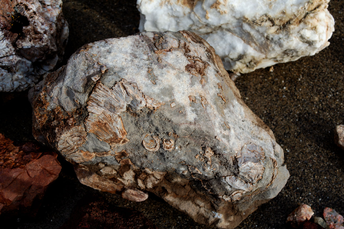 fossil-rock-joshua-tree-road.jpg