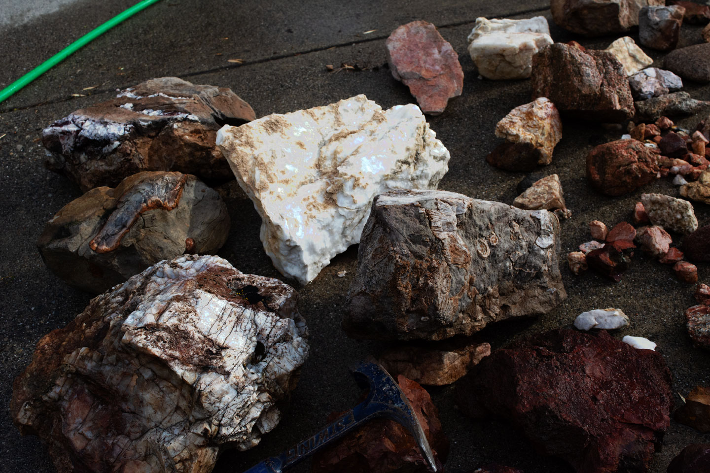 rocks-fossils-joshua-tree-road.jpg