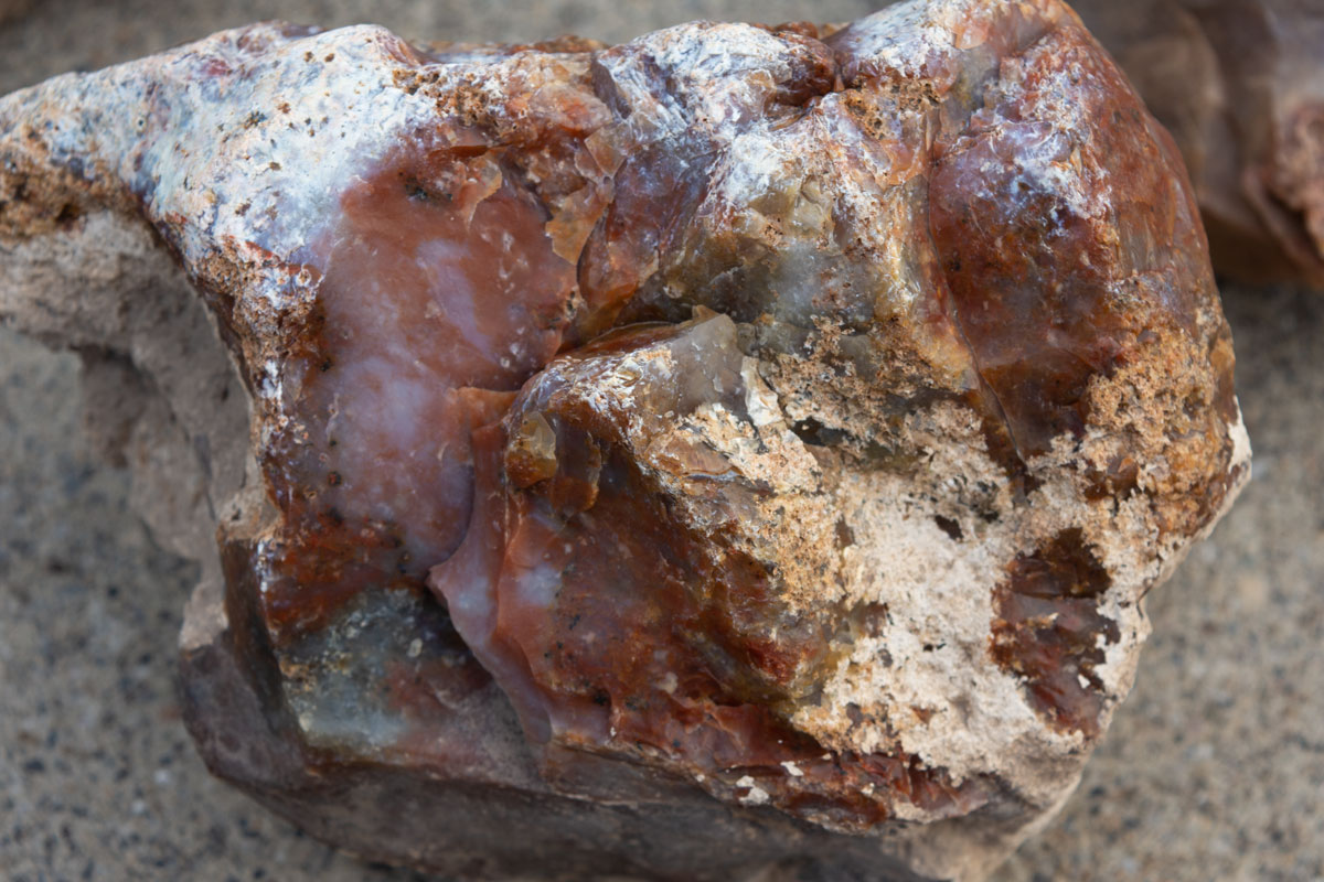 agate-tom-best-spring-area-2.jpg