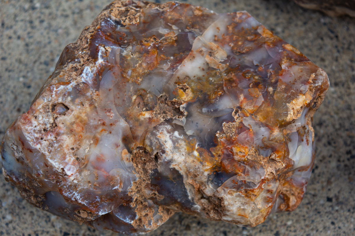 agate-tom-best-spring-area.jpg