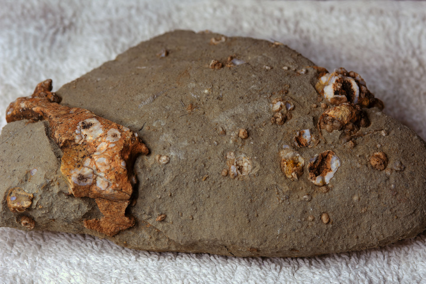 a-fossil-rock-fvs.jpg