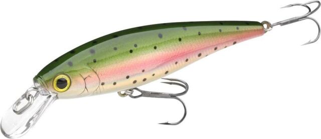 pointer minnow rainbow