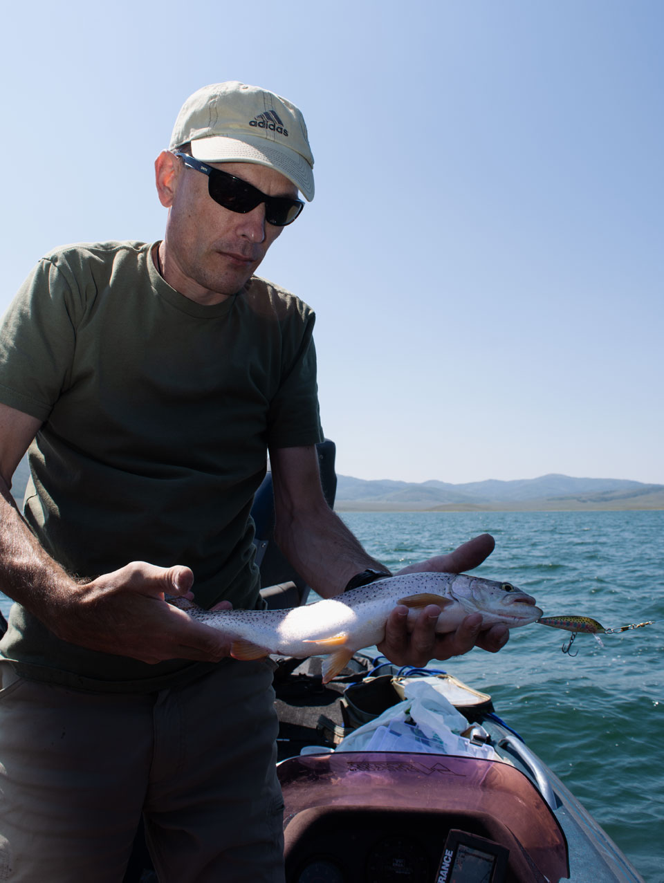 strawberry kevin cutt