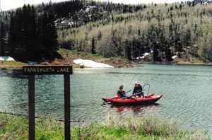 flplat4.JPG (25361 bytes)