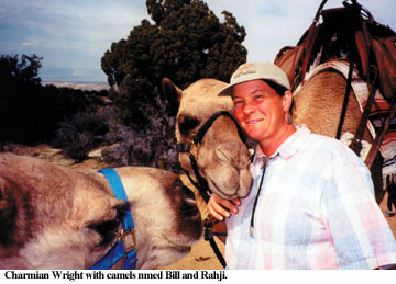 san rafael swell camels